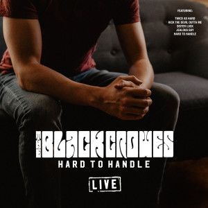 收聽The Black Crows的Hard to Handle (Live)歌詞歌曲