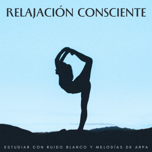 Relajación Consciente: Estudiar Con Ruido Blanco Y Melodías De Arpa