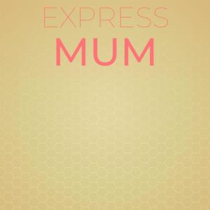 Listen to Mark Excuse song with lyrics from Jale Mond