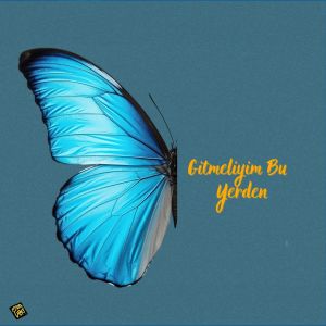 Album Gitmeliyim Bu Yerden from Çetin Dilsiz