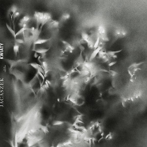ดาวน์โหลดและฟังเพลง Soft Music พร้อมเนื้อเพลงจาก Jacaszek