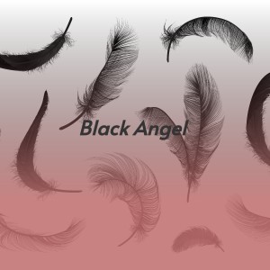 ดาวน์โหลดและฟังเพลง Black Angel พร้อมเนื้อเพลงจาก Tina Turner