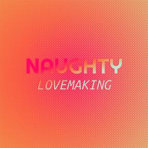 Various的专辑Naughty Lovemaking