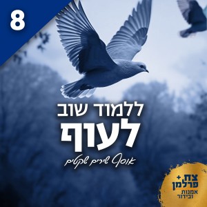 Album ללמוד שוב לעוף 8 (אוסף שירים שקטים) from Various