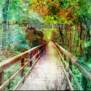Deep Sleep Relaxation的专辑48 Promote Sleep