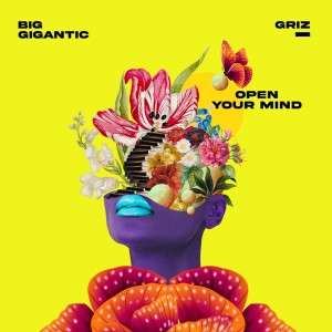 Album Open Your Mind from GRiZ
