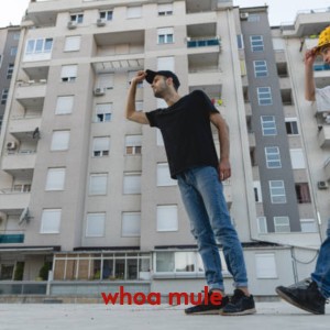 Listen to Whoa Mule song with lyrics from Clint Howard