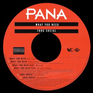 Album What You Need / Thug Social (Explicit) from Pana