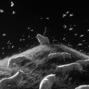 default playlist img