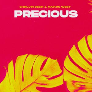 Listen to Precious song with lyrics from shirlvin desir