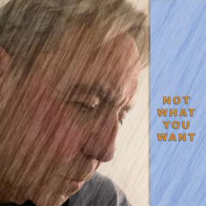 收聽Someone的NOT WHAT YOU WANT歌詞歌曲