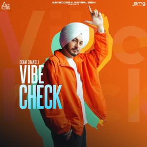 Listen to Vibe Check song with lyrics from Ekam Chanoli