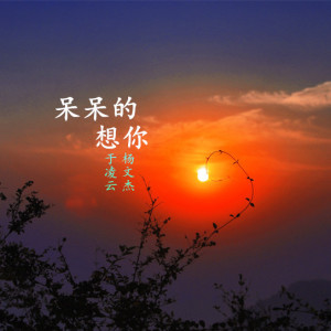 Album 呆呆的想你 from 于凌云