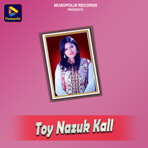 Listen to Toy Nazuk Kali song with lyrics from Subhash Das