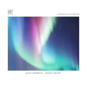 Listen to Magic Night song with lyrics from Dani Sinergia