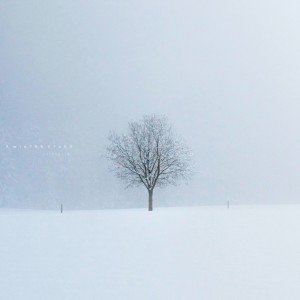 Helena Kim的專輯A Winter Story