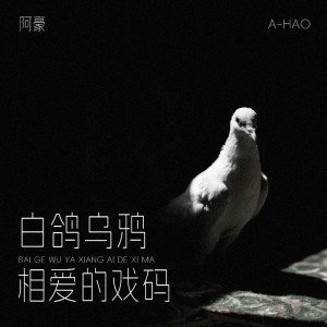 阿豪的专辑白鸽乌鸦相爱的戏码