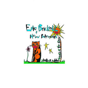 ดาวน์โหลดและฟังเพลง What I Am พร้อมเนื้อเพลงจาก Edie Brickell & New Bohemians