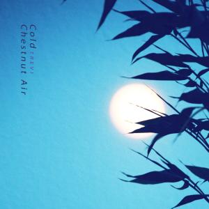 Album Cool night air oleh Trevi