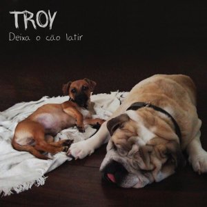收聽Troy Rossilho的Você É Cega歌詞歌曲