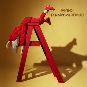 ดาวน์โหลดและฟังเพลง MyBoi (TroyBoi Remix) พร้อมเนื้อเพลงจาก Billie Eilish