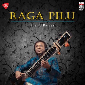 ดาวน์โหลดและฟังเพลง Raga Pilu - Taal Dadra พร้อมเนื้อเพลงจาก Shahid Parvez