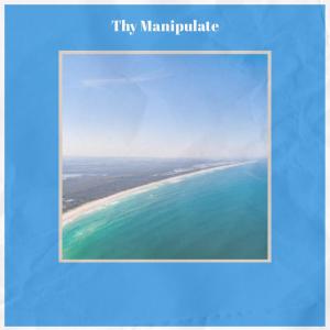 Album Thy Manipulate from Various