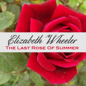 ดาวน์โหลดและฟังเพลง The Last Rose of Summer พร้อมเนื้อเพลงจาก Elizabeth Wheeler