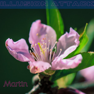 Martin的專輯Illusion Attack