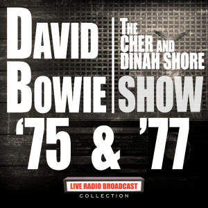 收聽David Bowie的Stay (Live)歌詞歌曲