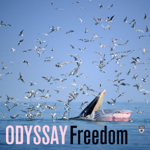 Listen to Freedom song with lyrics from ODYSSAY