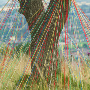 收聽Tutara Peak的Orbit (Lunar Edition)歌詞歌曲