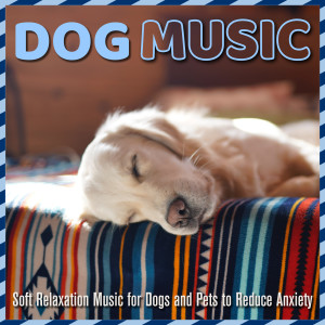 Album Dog Music: Soft Relaxation Music for Dogs and Pets to Reduce Anxiety oleh Dog Music Dreams