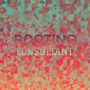 Listen to Boozing Consultant song with lyrics from Ceryl Laen