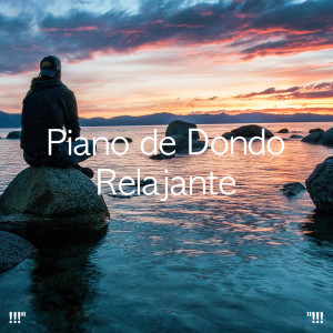 Album !!!" Piano de fondo relajante "!!! oleh Piano Suave Relajante