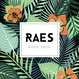 Listen to Material Sensual song with lyrics from Raes