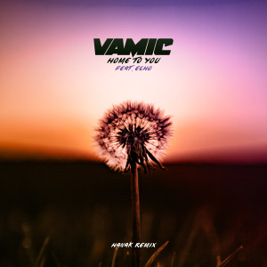 Vamic的專輯Home To You (HANÁK Remix)