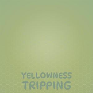 Listen to Afternoons Cheerless song with lyrics from Kino Minko