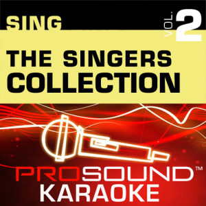 ดาวน์โหลดและฟังเพลง The Voice Within (Karaoke with Background Vocals) [In the Style of Christina Aguilera] พร้อมเนื้อเพลงจาก ProSound Karaoke Band