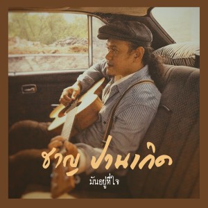 ดาวน์โหลดและฟังเพลง มันอยู่ที่ใจ พร้อมเนื้อเพลงจาก ชาญ ปานเกิด