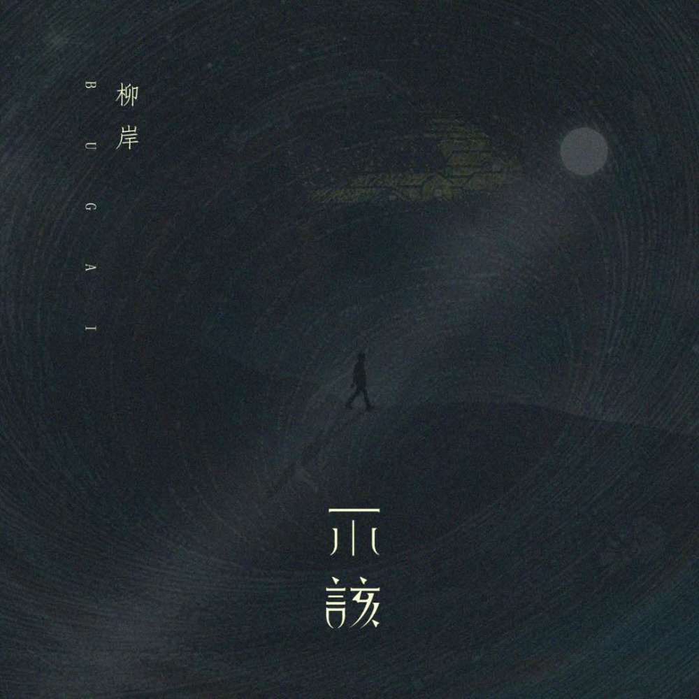 不该 (伴奏)