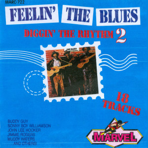 Various Artists的專輯Feelin' the Blues - Diggin' the Rhythm 2
