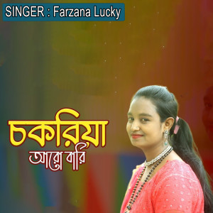 Album চকরিয়া আরো বারি from Farzana Lucky