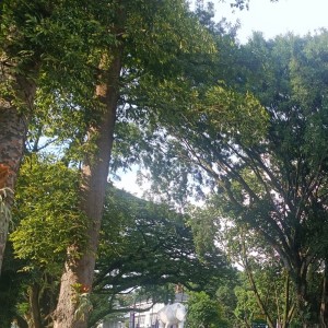 收聽Guntur的Namamu di hati歌詞歌曲