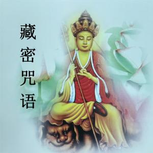 Album 藏密咒语 oleh 群星