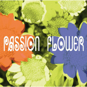 อัลบัม PASSION FLOWER ศิลปิน 方格子