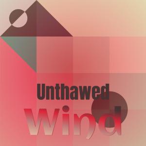 Various Artists的專輯Unthawed Wind