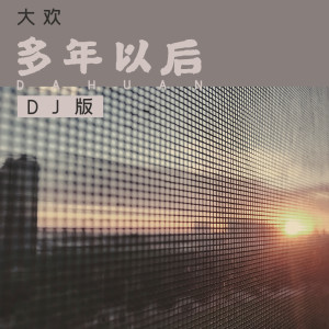 收聽大歡的多年以後 (2019DJ阿聖REMIX)歌詞歌曲