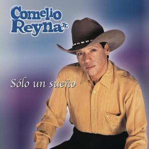 收聽Cornelio Reyna Jr.的Despacito歌詞歌曲