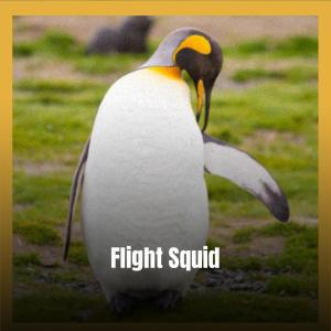 Various的专辑Flight Squid